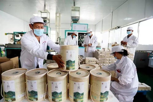 谷香飄萬里，增收靠大米 大額資金如何助力產業騰飛