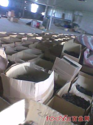 惠州專(zhuān)業(yè)二手設(shè)備回收 高價(jià)收購(gòu)，信譽(yù)保障